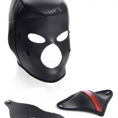 Scorpion Hood With Removable Blindfold And Mouth Mask