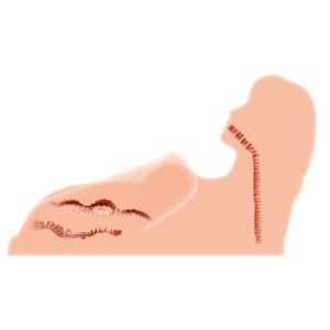 1681379146.m10-03-25_7
