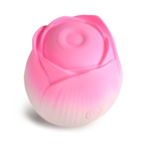 1739259273.120432-pink_11