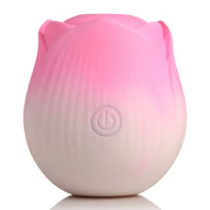 1739259299.120432-pink_22