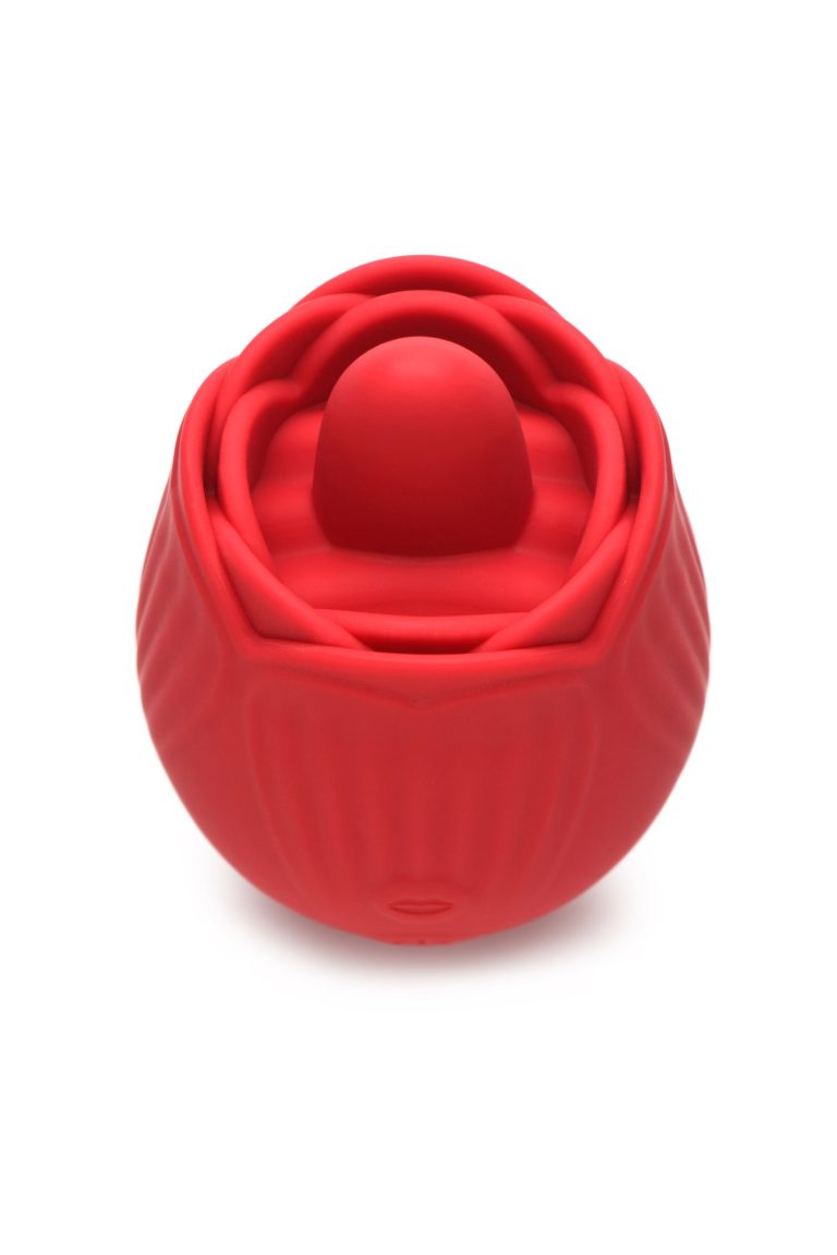 1739261531.120382-red_16