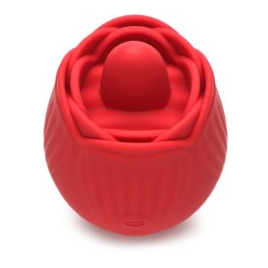 1739261531.120382-red_16
