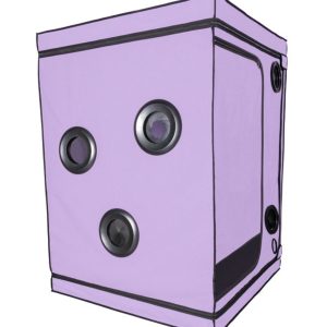 1756365712.120760-purple_2