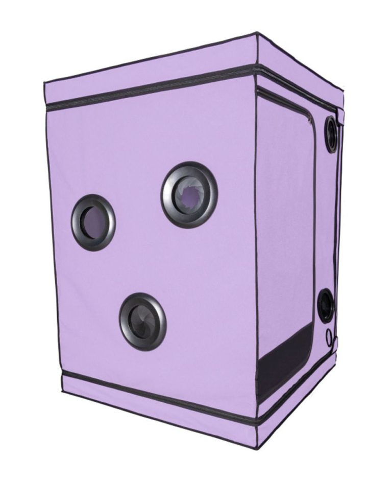 1756365712.120760-purple_2