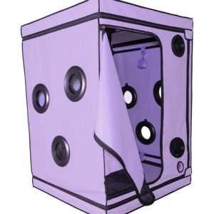 1756365712.120760-purple_3