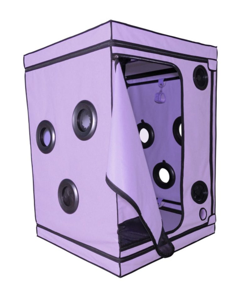 1756365712.120760-purple_3