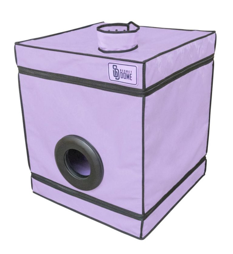 1756367851.120758-purple