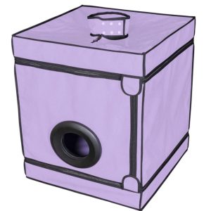 1756367851.120758-purple_2