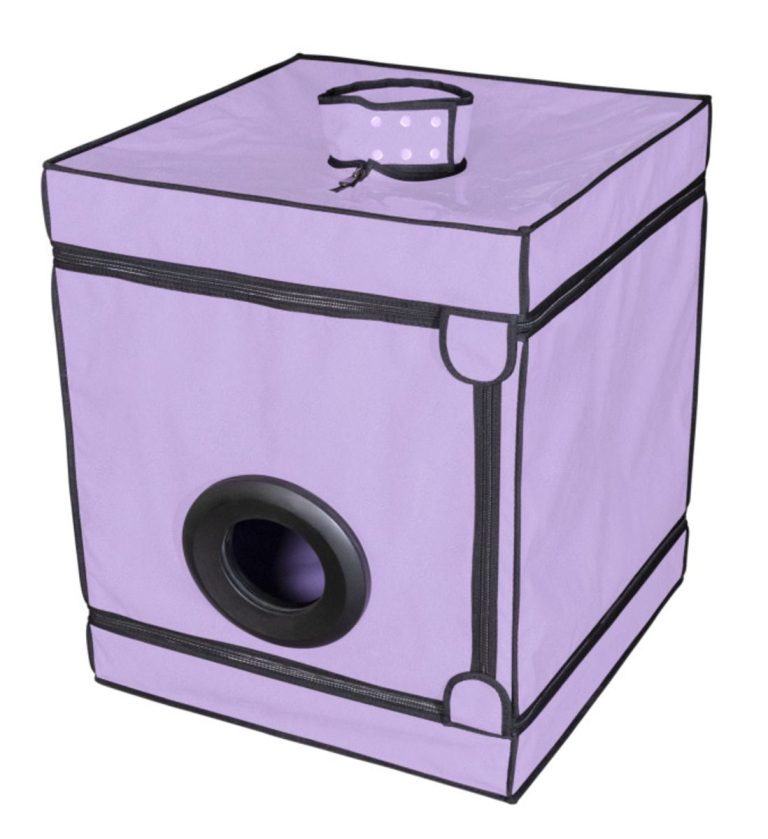 1756367851.120758-purple_2