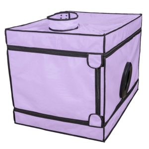 1756369733.120759-purple_2