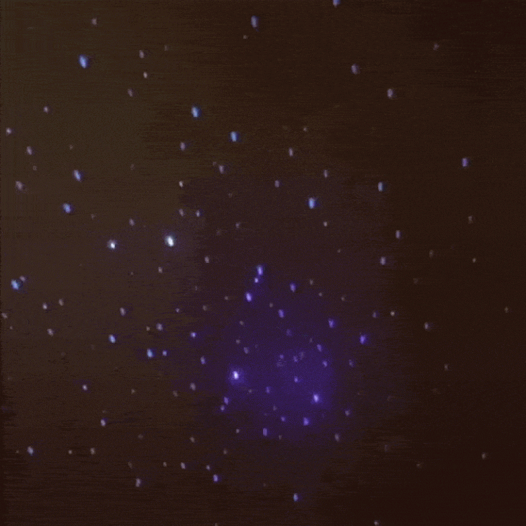 1761028827.e35270_14