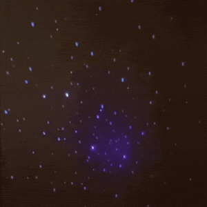 1761029012.e35269_14