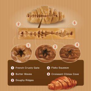 1764932281.121186-brown_11