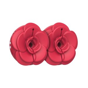 1769084966.120937-red_3