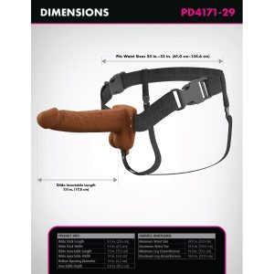 pd4171-29_10