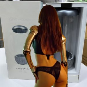 TIfa 3d Hologram Girlfriend 18-02-2026, 18 48 55 (3)