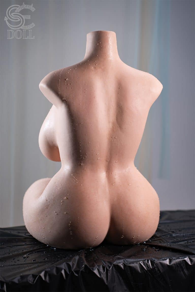 SET011-36