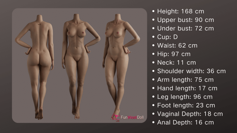 FS168cm D Cup-Body Measurements