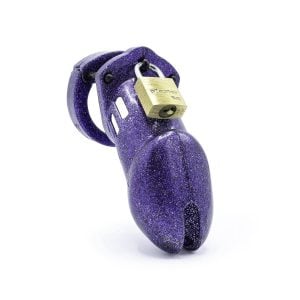 1758264796.120788-purple