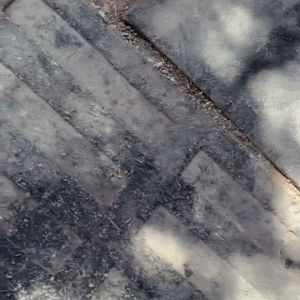 1767960910.120561-beige_7