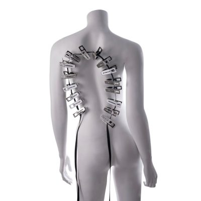 Sportsheets - Edge Body Zipper Clothes Pins - Silver