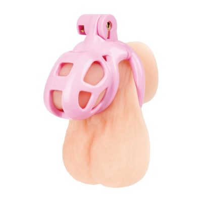 Blueline Small Pink Humiliation Acrylic Prisoner Cock Cage