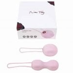 Nomi Tang - IntiMate Kegel Set Pink