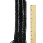 ac222-15-inch-super-black-dong-w-ruler