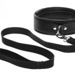 ag410-collar-001_750x511